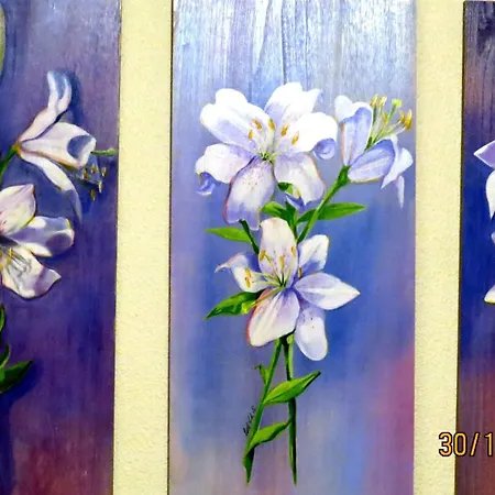 Stierer Appartement *